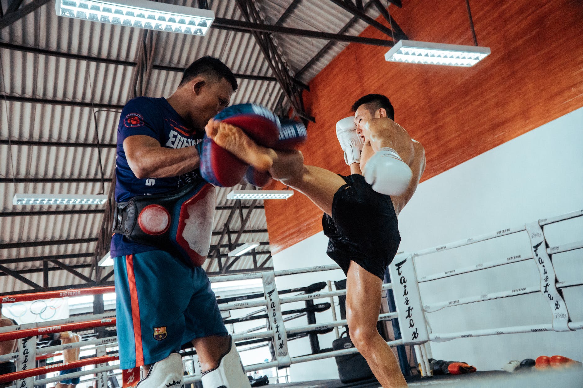 Exploring the World’s Most Popular Martial Arts Programs