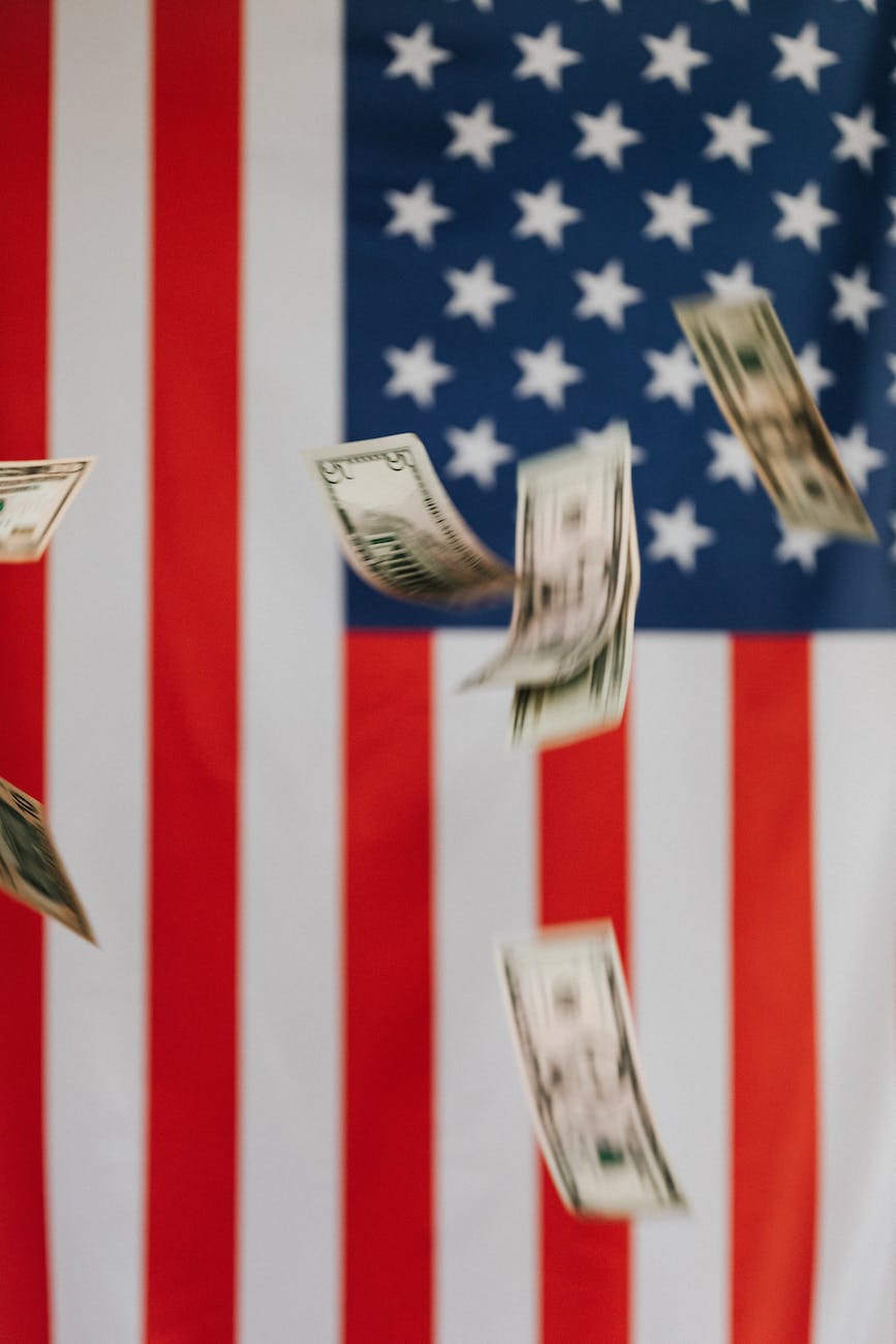 Understanding The Three Branches of The American Government: Making the Right Choice For Your Future