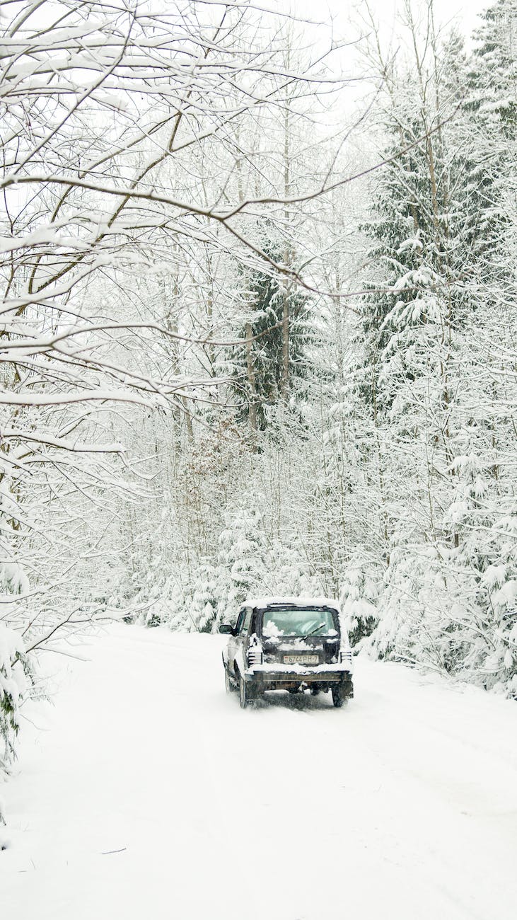 Items to Have in Your Car For Winter: For Safe Driving in Snowy Conditions
