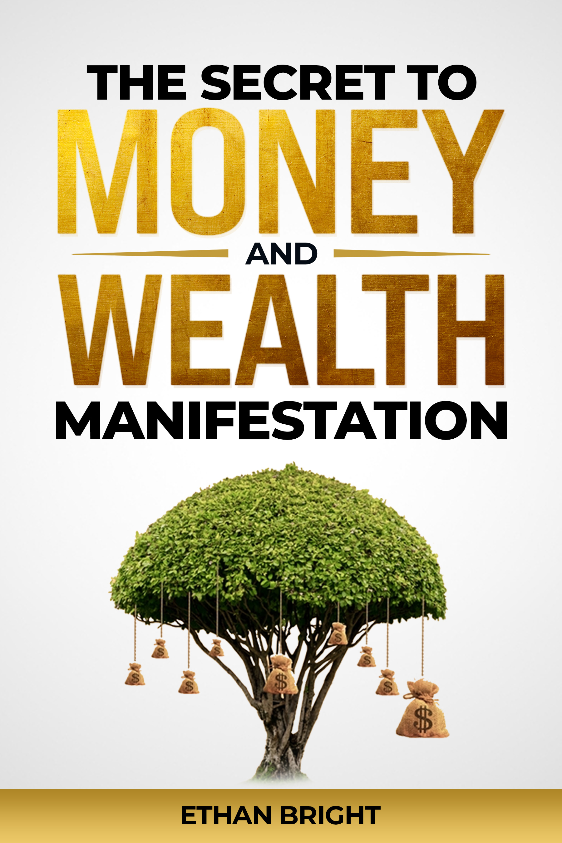 Prosperity in a Book: The Secret to Money and Wealth Manifestation