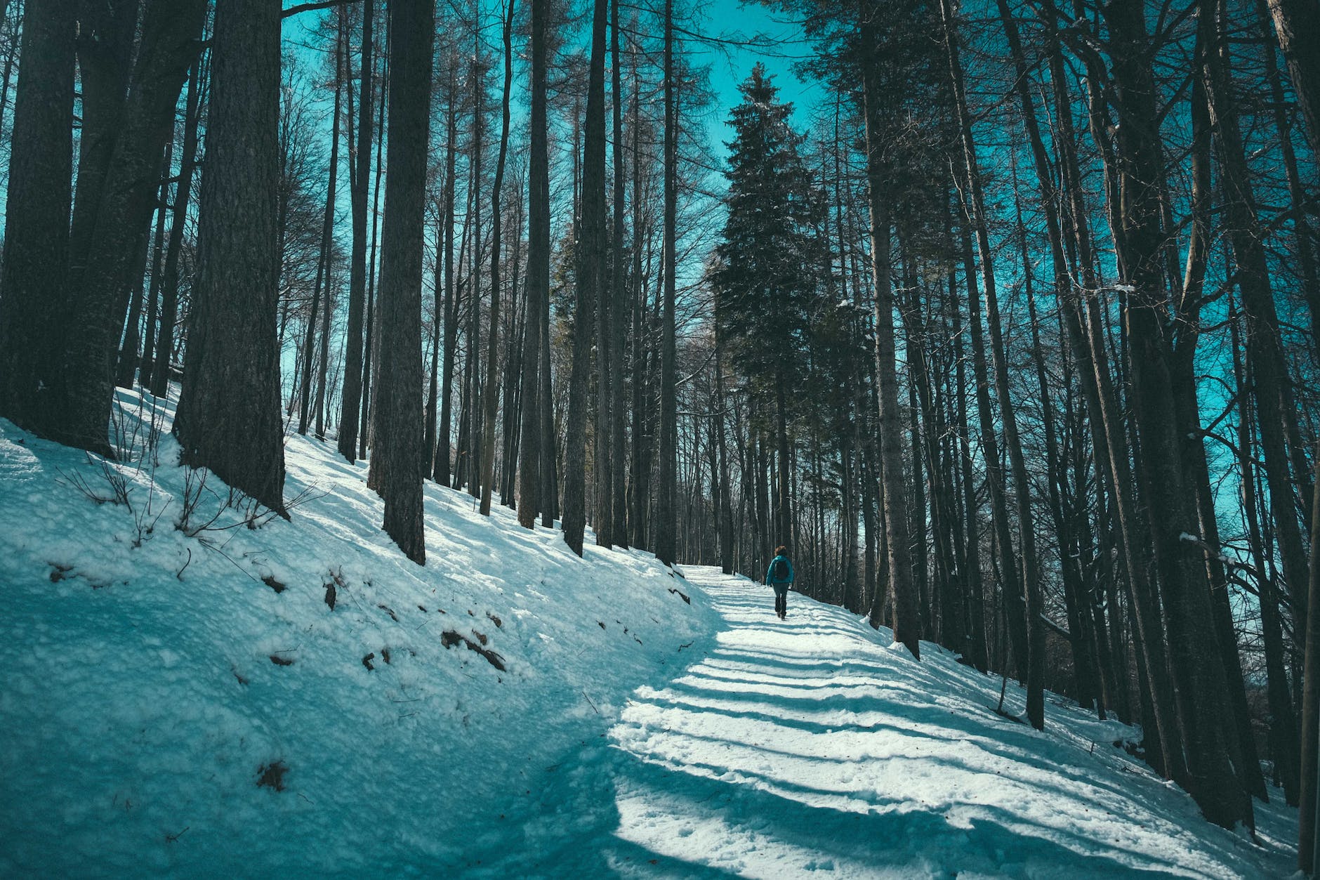 Getting Your Home Winter-Ready: Easy Answers and Practical Tips for Subzero Weather